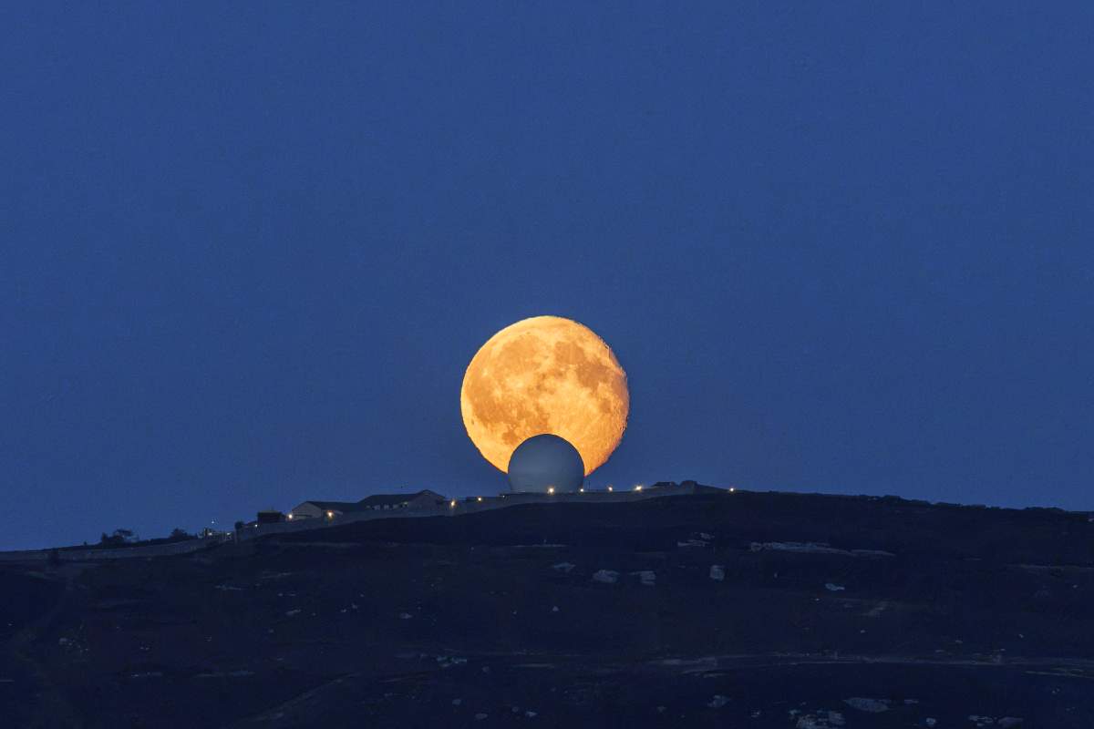 Moonrise, Brizlee Wood