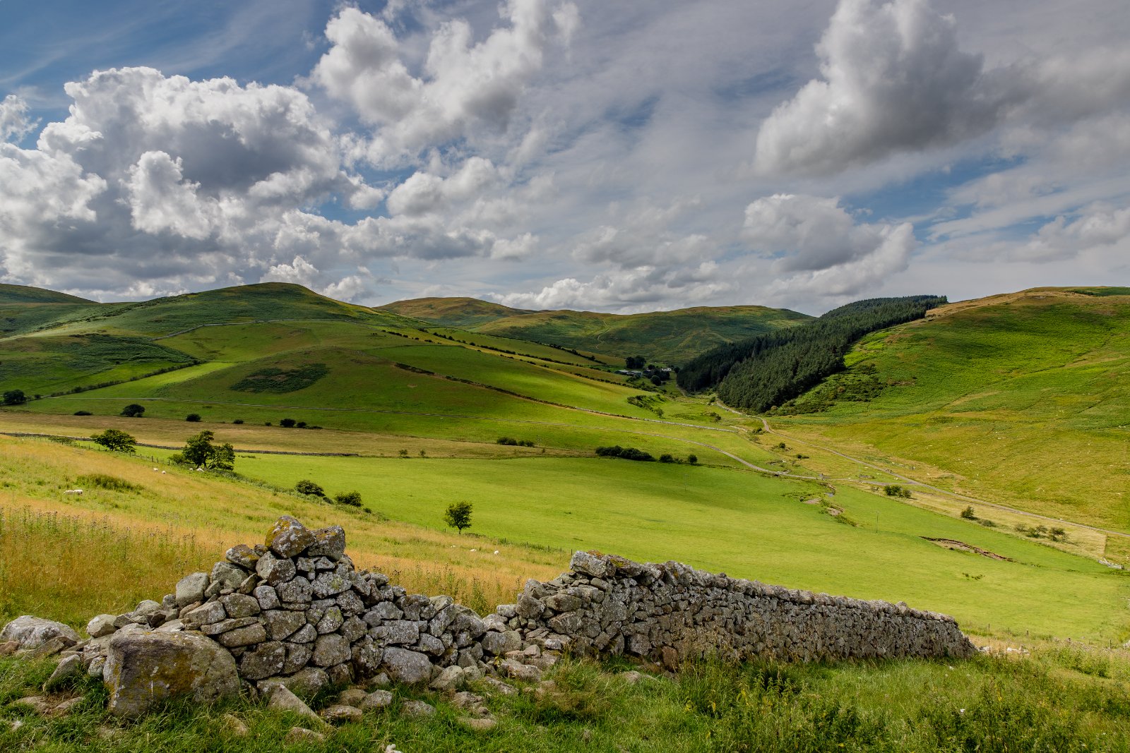 The Old Stone Wall - a photography print from NorthernPixl