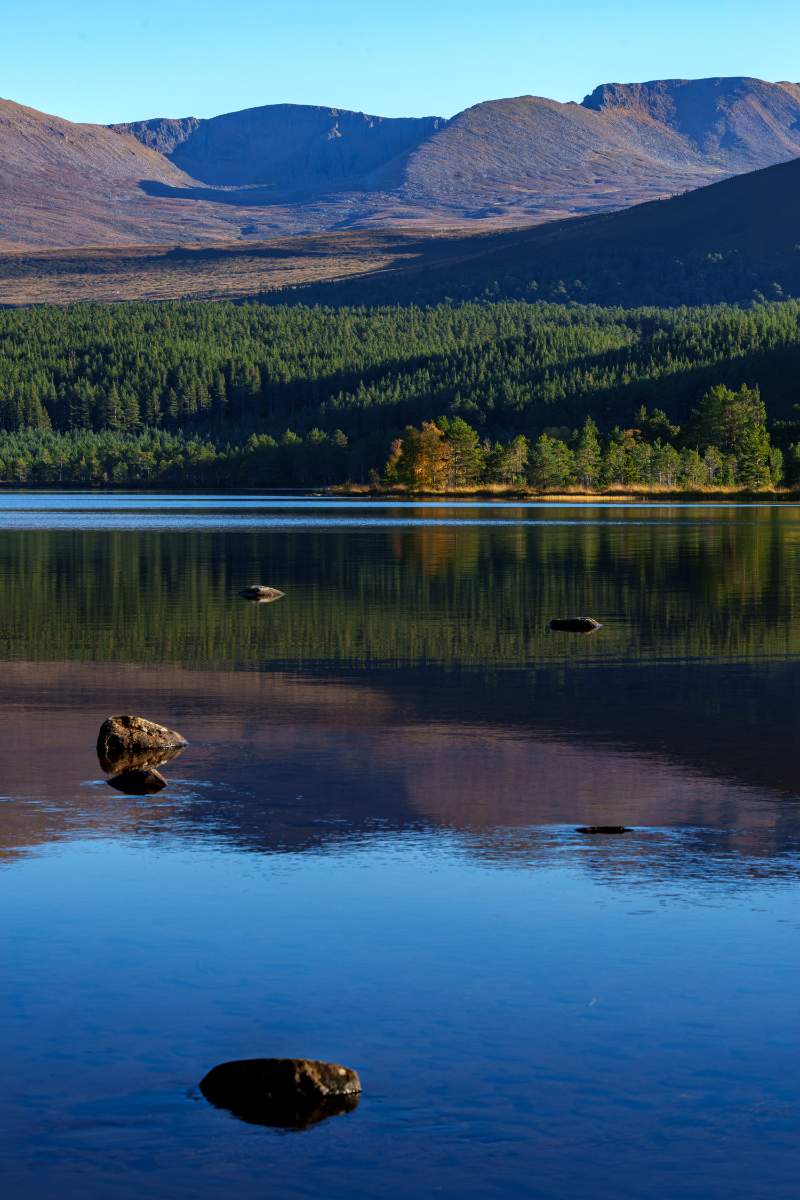 Pine Forest and Mountains, the Cairngorms - a photography print from NorthernPixl