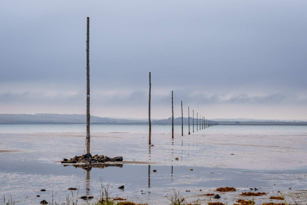 The Pilgrims' Path, Lindisfarne - a photography print from NorthernPixl