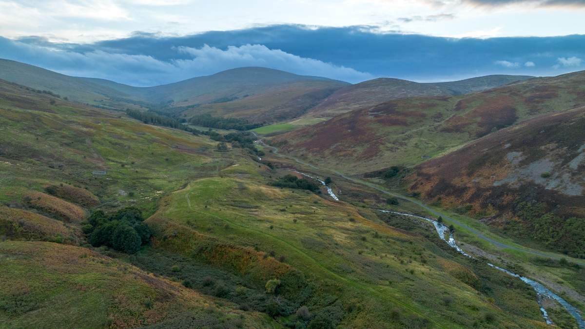 Harthope Valley, Looking to The Cheviot