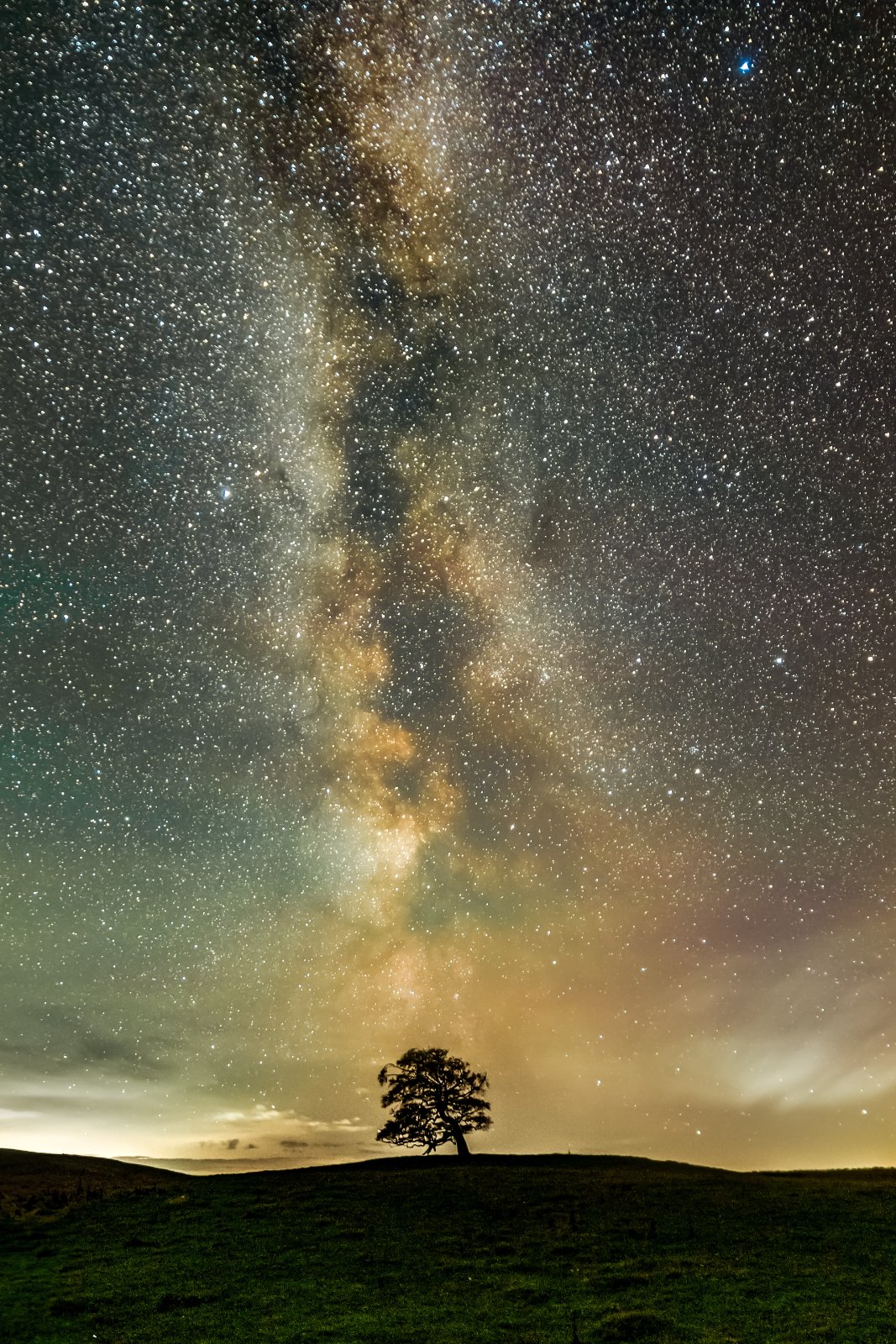 Lone Tree Under the Milky Way - a photography print from NorthernPixl