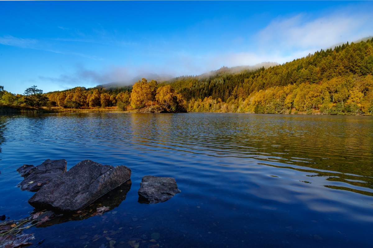 Birches on Loch Tummel - a photography print from NorthernPixl